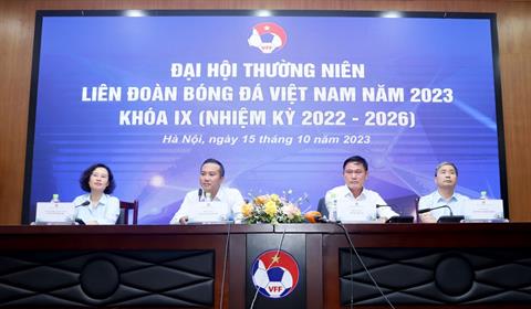 Sẽ có tỉ phú ra tranh ghế Chủ tịch Liên đoàn Bóng đá Việt Nam?