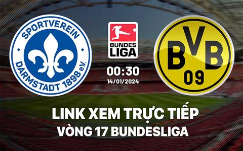 Link xem trực tiếp Darmstadt vs Dortmund 0h30 ngày 14/1/2024