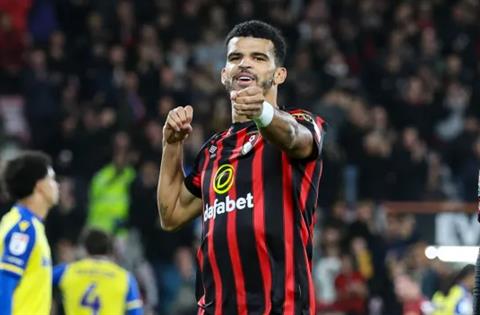 Bournemouth đồng ý bán Dominic Solanke với mức phí chuyển nhượng kỷ lục 