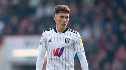 Thông tin tiểu sử tiền vệ Harry Wilson của Fulham