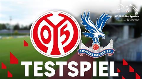 Nhận định Crystal Palace vs Mainz (19h00 ngày 29/7): Tiếp đà hưng phấn