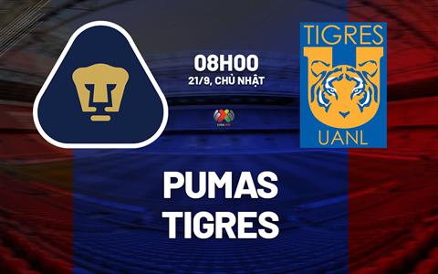 Nhận định Pumas UNAM vs Tigres UANL 8h00 ngày 21/9 (VĐQG Mexico 2025/26)