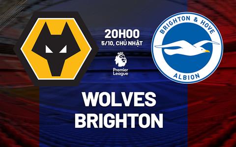 Nhận định Wolves vs Brighton (20h00 ngày 5/10): Nối dài chuỗi không thắng