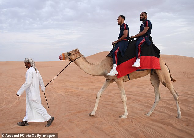 Tranh thủ nghỉ Đông, Arsenal sang Dubai cưỡi lạc đà hình ảnh