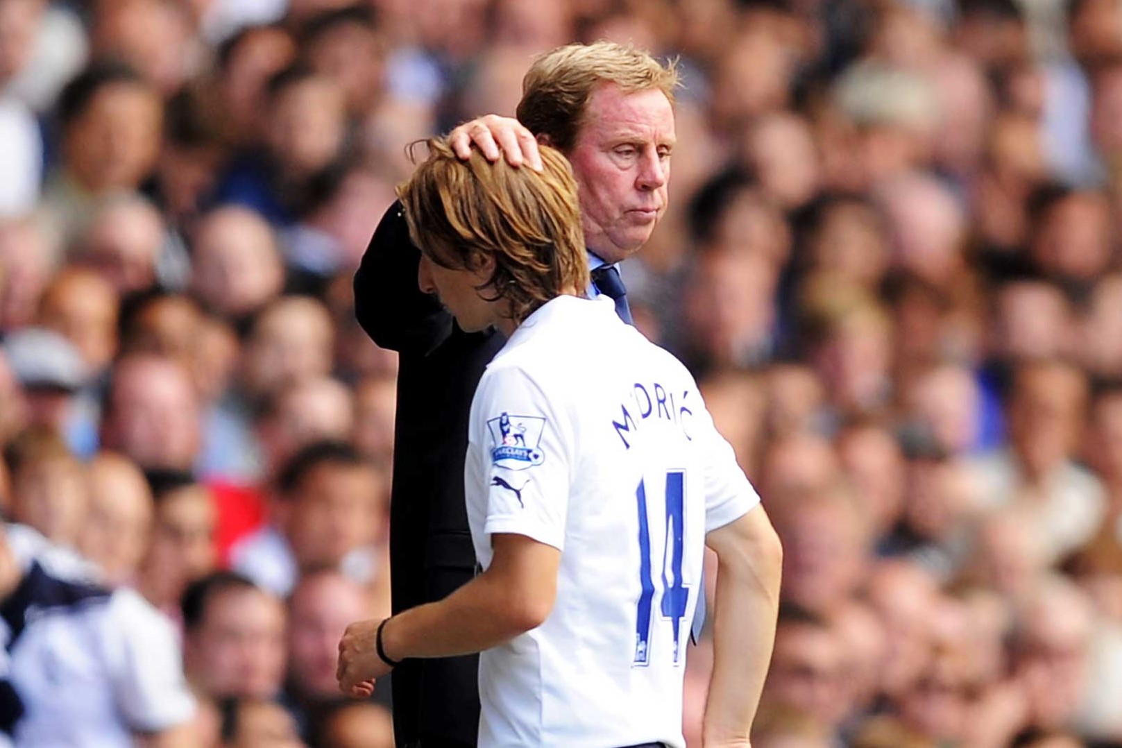 Luka Modric Roman Abramovich từng đề nghị tôi tới Chelsea hình ảnh