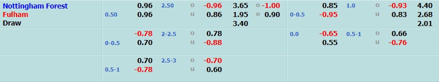 Nottingham vs Fulham Nottingham vs Fulham