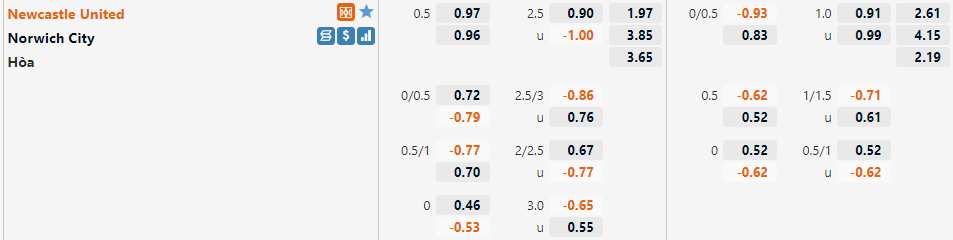 Newcastle vs Norwich