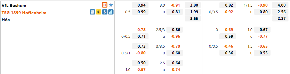 Tỷ lệ Bochum VS Hoffenheim