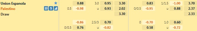 Union Espanola vs Palestino