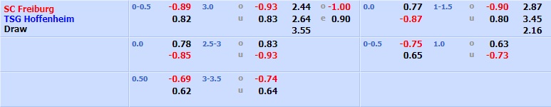 Freiburg vs Hoffenheim
