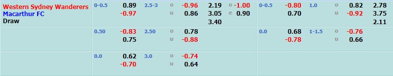 Western Sydney Wanderers vs Macarthur