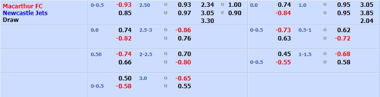 Macarthur vs Newcastle Jets