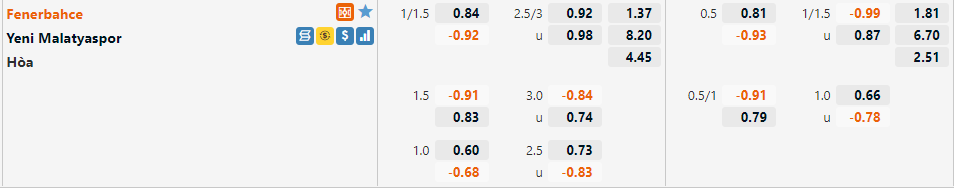 Fenerbahce vs Malatyaspor Fenerbahce vs Malatyaspor