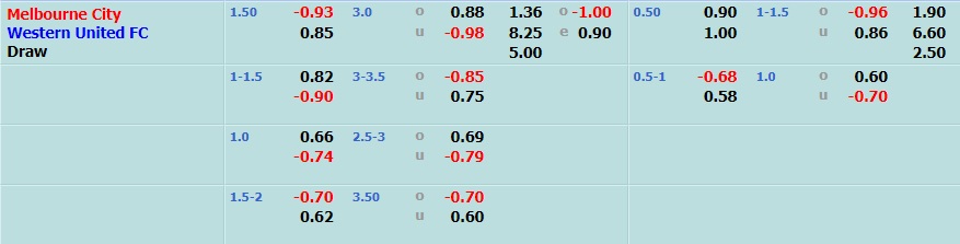 Melbourne City vs Western United