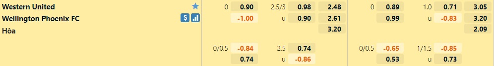 Western United vs Wellington Phoenix