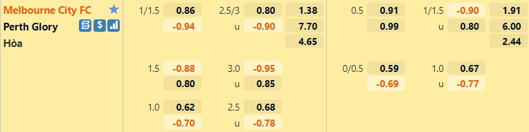 Melbourne City vs Perth Glory