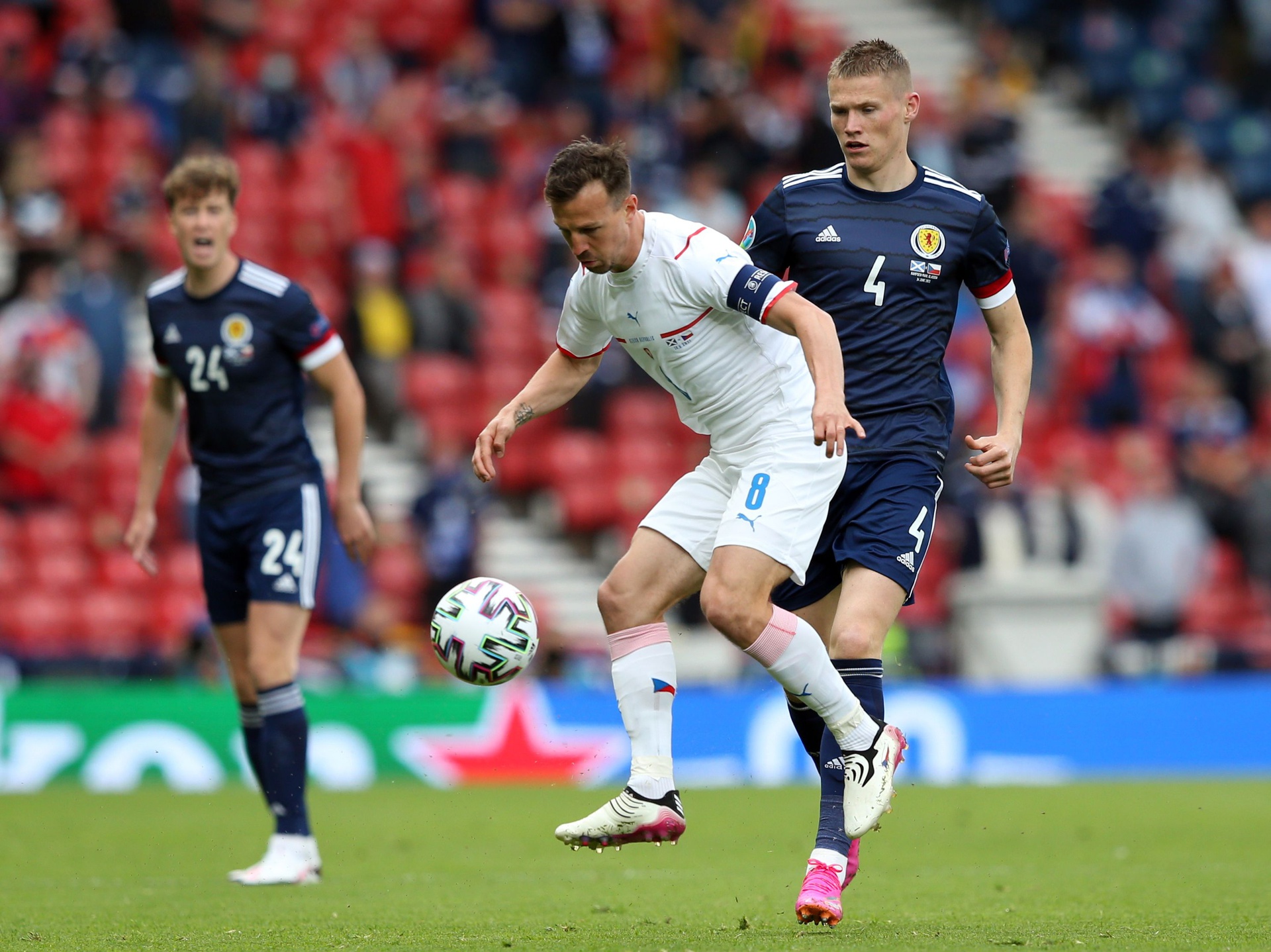 Trận thua nghiệt ngã của Scotland hình ảnh gốc