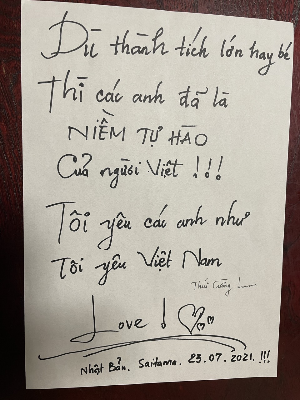 Đoàn thể thao Việt Nam