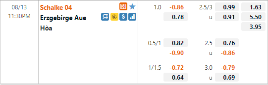 Schalke vs Erzgebirge Schalke vs Erzgebirge