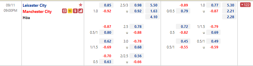 Leicester vs Man City