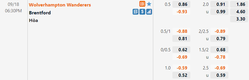 Wolves vs Brentford Wolves vs Brentford