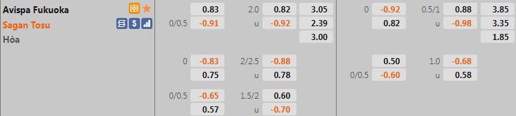 Avispa Fukuoka vs Sagan Tosu