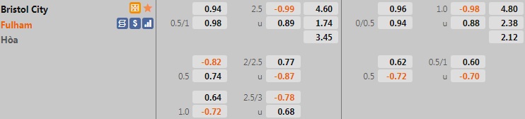 Bristol City vs Fulham Bristol City vs Fulham