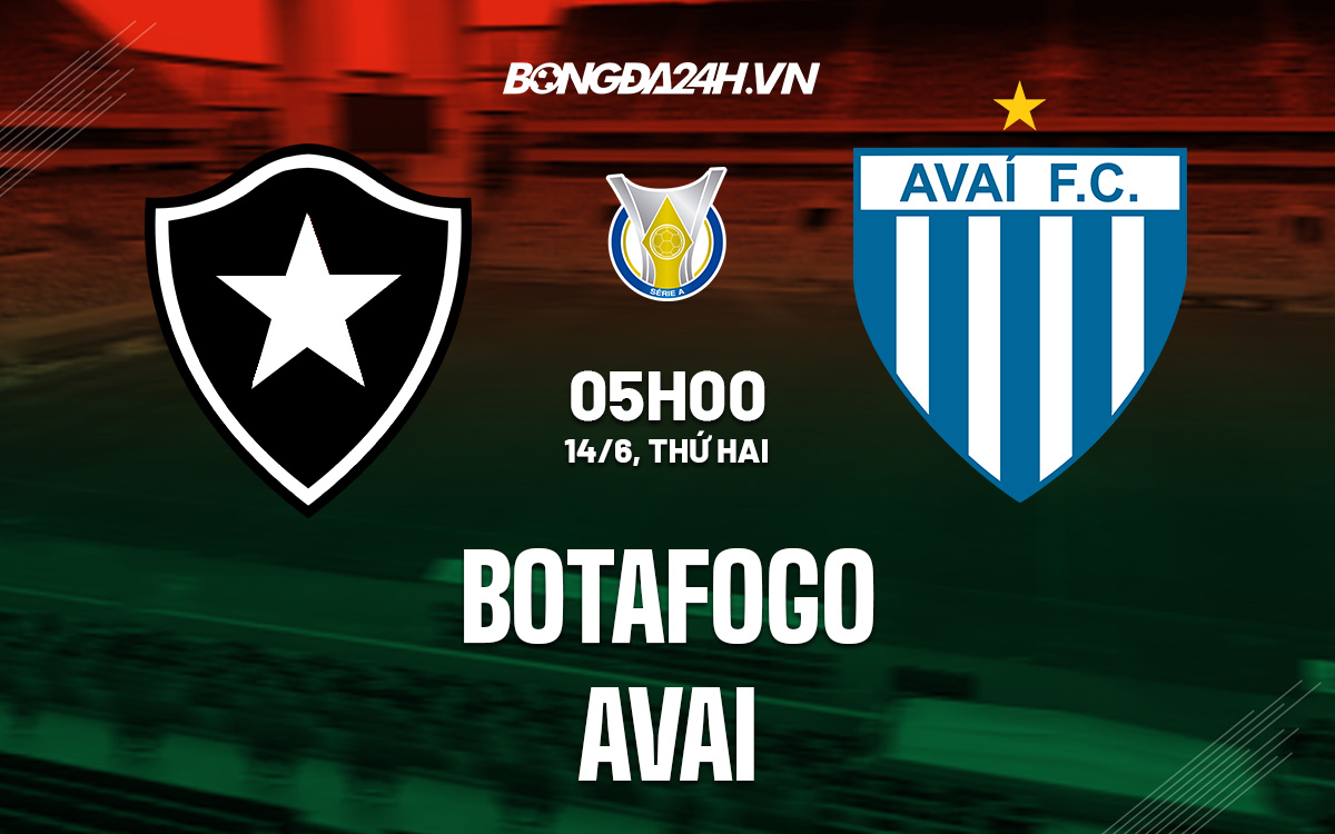 Botafogo vs Avai 4