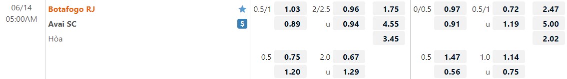 Nhận định Botafogo vs Avai 5h00 ngày 146(VĐQG Brazil 2022) 1