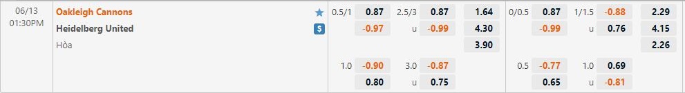 Nhận định Oakleigh Cannons vs Heidelberg United 13h30 ngày 136(VĐ Bang Victoria 2022) 1