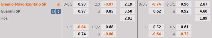 Nhận định, soi kèo Novorizontino vs Guarani 21h00 ngày 126 (Hạng 2 Brazil 2022) 1