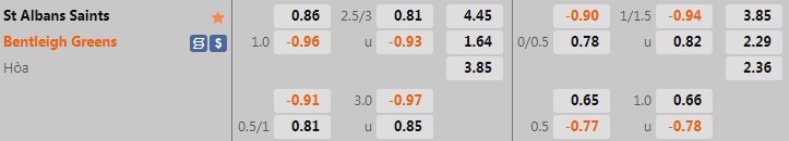 Nhận định Albans Saints vs Bentleigh Greens 17h30 ngày 176 (VĐ bang Victoria 2022) 1
