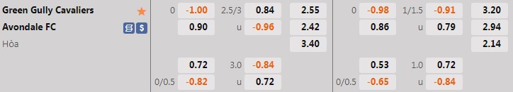 Nhận định Green Gully Cavaliers vs Avondale 17h00 ngày 176 (VĐ bang Victoria 2022) 1