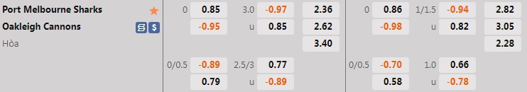 Nhận định Port Melbourne Sharks vs Oakleigh Cannons 14h30 ngày 256 (VĐ bang Victoria 2022) 1