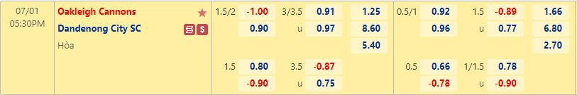 Nhận định Oakleigh Cannons vs Dandenong City 17h30 ngày 17 (VĐ bang Victoria 2022) 1