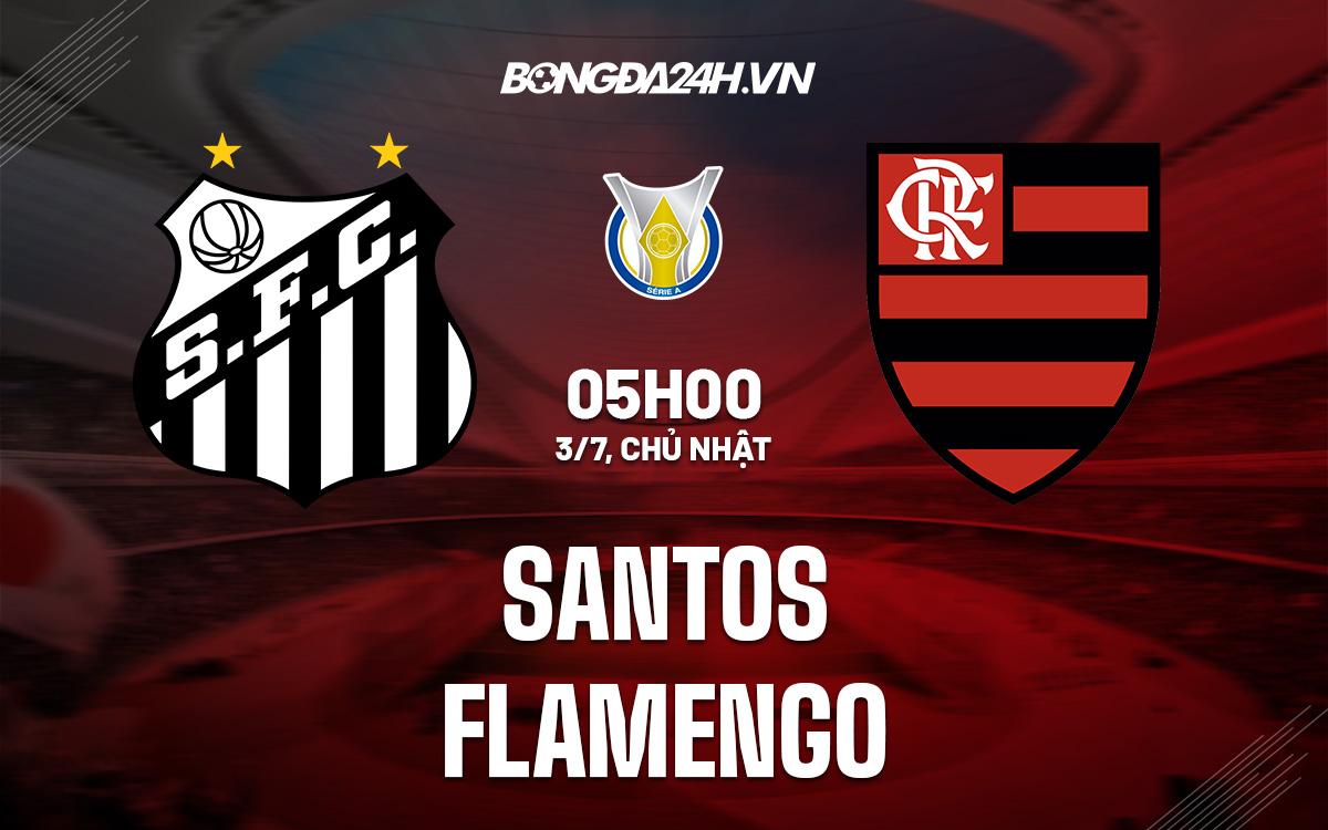 Santos vs Flamengo