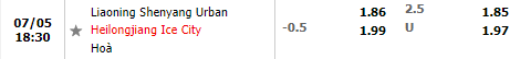 Nhận định Shenyang Urban vs Heilongjiang Ice City 18h30 ngày 57 (Hạng 2 Trung Quốc 2022) 1