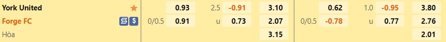Nhận định, soi kèo York United vs Forge 6h30 ngày 97 (VĐQG Canada 2022) 1
