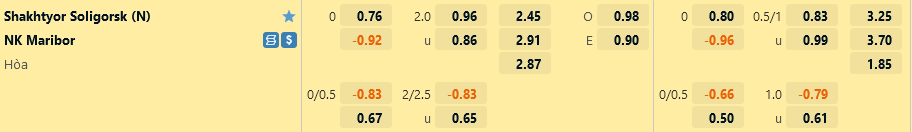 Shakhtyor vs Maribor