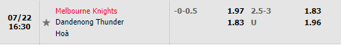 Nhận định Melbourne Knights vs Dandenong Thunder 16h30 ngày 227 (VĐQG bang Victoria 2022) 1