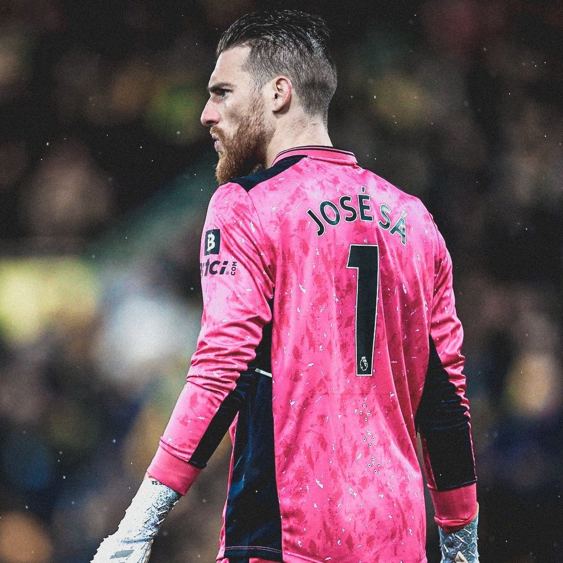 Jose Sa