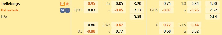 Nhận định bóng đá Trelleborgs vs Halmstads 0h00 ngày 48 (Hạng 2 Thụy Điển 2022) 1