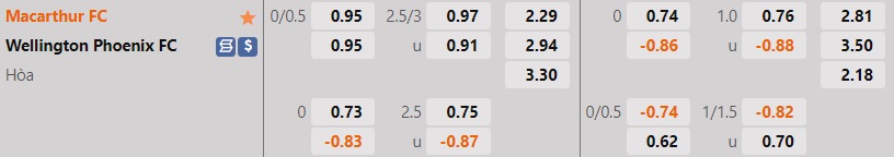 Nhận định Macarthur vs Wellington Phoenix 16h30 ngày 318 (Cúp QG Australia 2022) 1