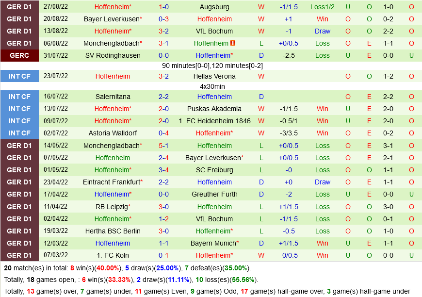 Dortmund vs Hoffenheim
