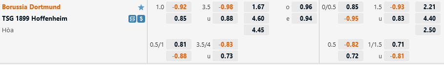 Dortmund vs Hoffenheim