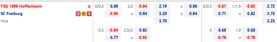 Hoffenheim vs Freiburg Hoffenheim vs Freiburg