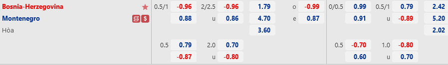 Bosnia vs Montenegro