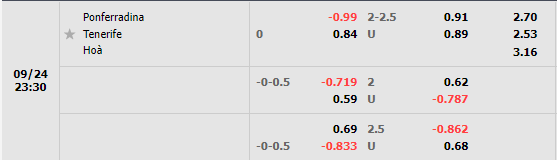 Nhận định Ponferradina vs Tenerife (23h30 ngày 249, Hạng 2 TBN) 1