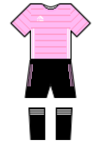 Màu áo sân khách