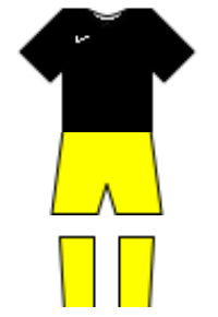 Màu áo sân khách